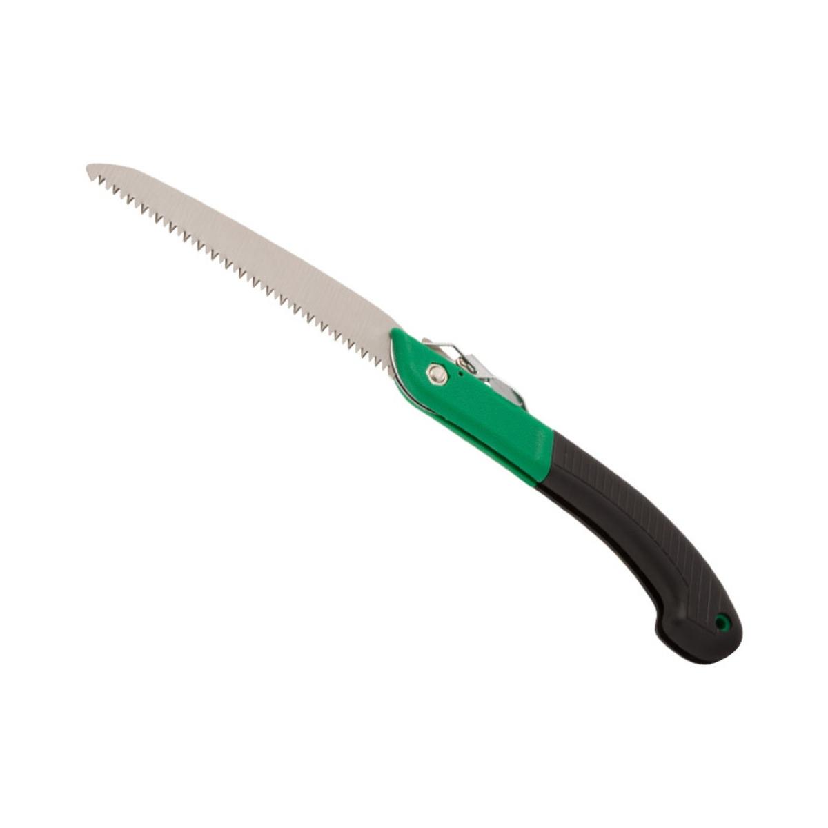 Segaccio a serramanico progarden cm 18