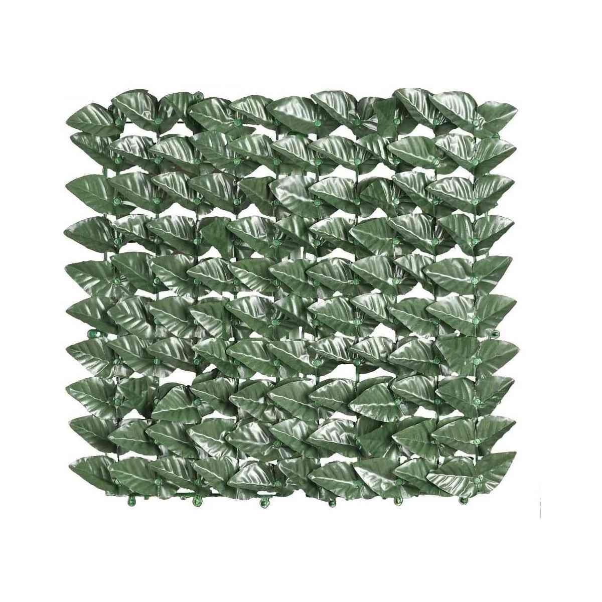 EDERA FINTA ARELLE (SIEPE) SEMPREVERDI  MT.1X3 <br />