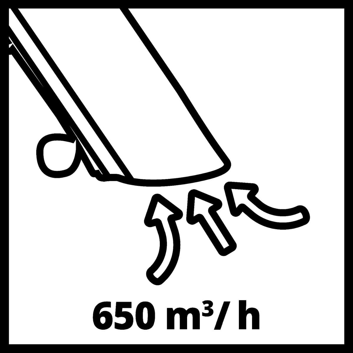 Einhell Aspiratore Elettrico GC-EL 3024 E, Nero Rosso Modello 2022