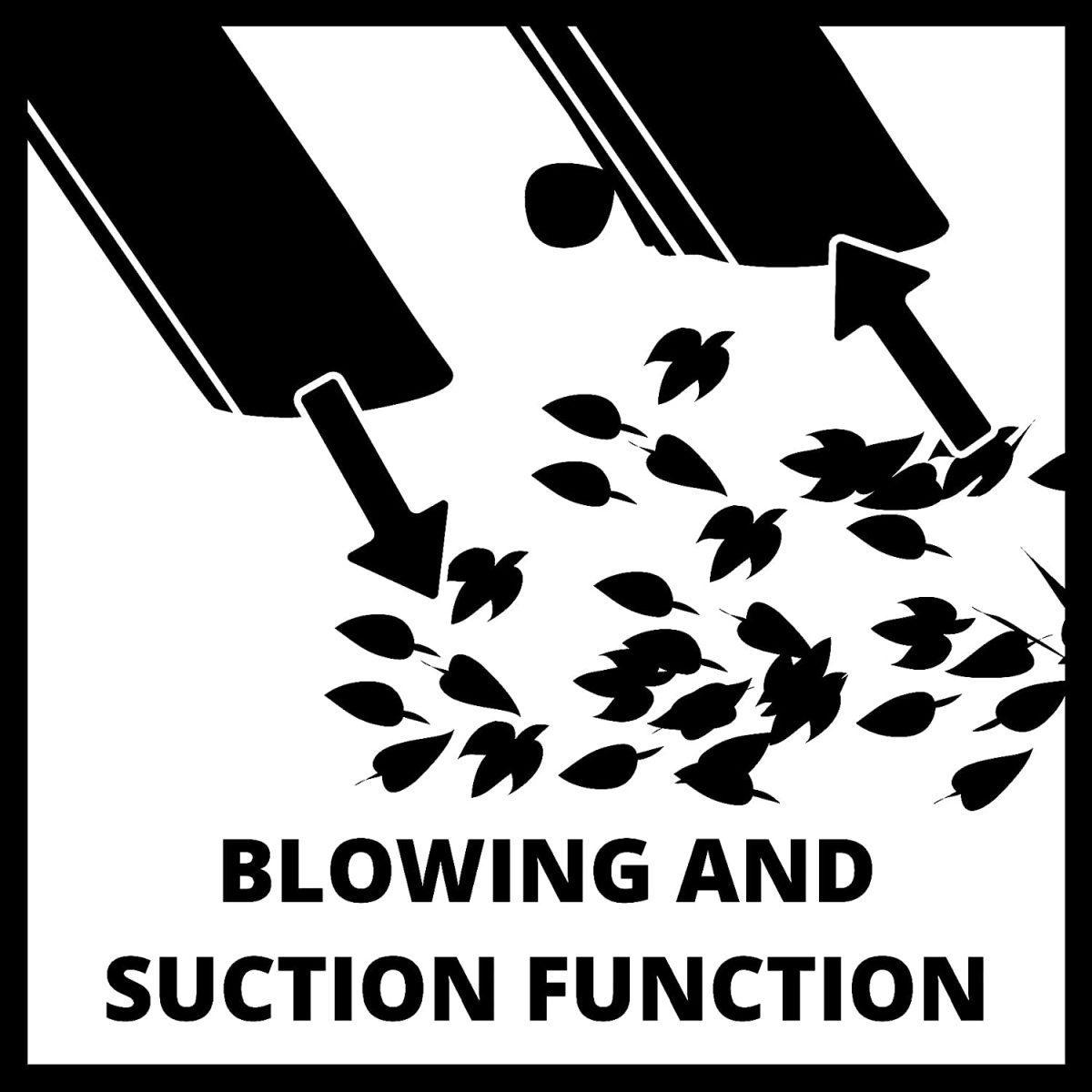 Einhell Aspiratore Elettrico GC-EL 3024 E, Nero Rosso Modello 2022