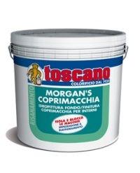 IDROPITTURA SUPER LAVABILE COPRIMACCHIA 10 lt