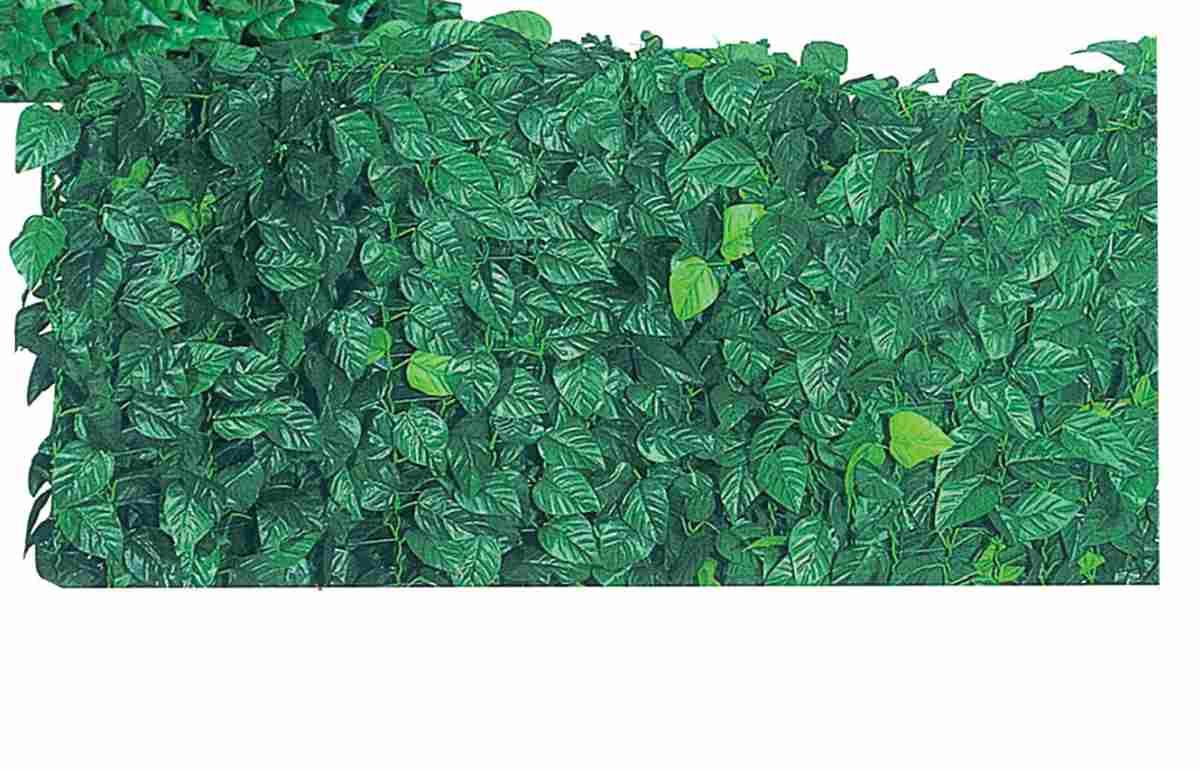 Arella sempreverde modello lauro 100x20mt